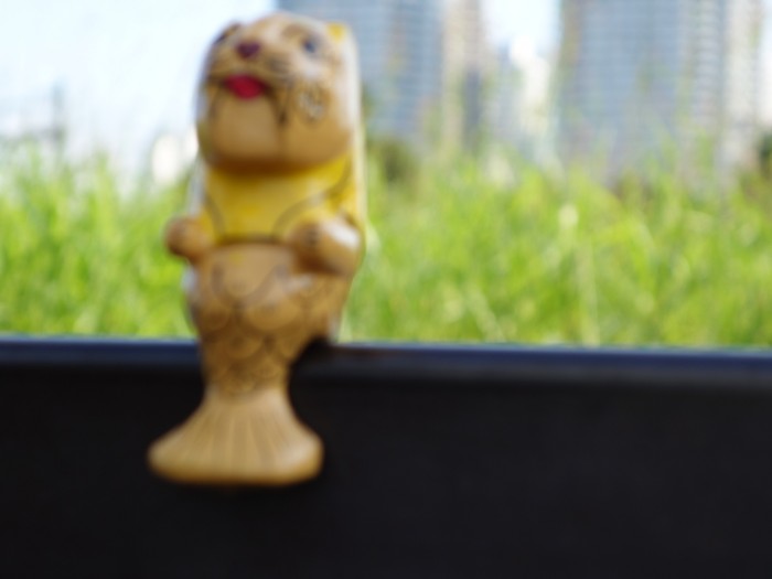 PICT_20130929_151524