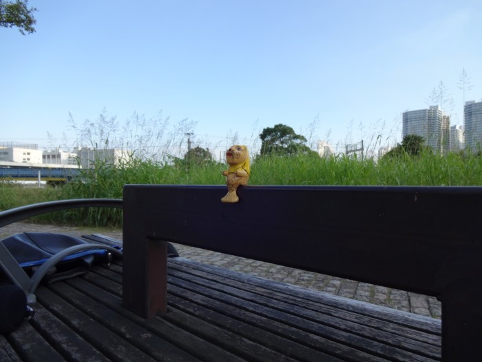 PICT_20130929_152632