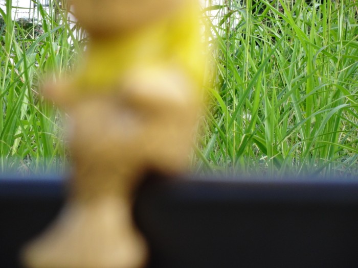 PICT_20130929_152648