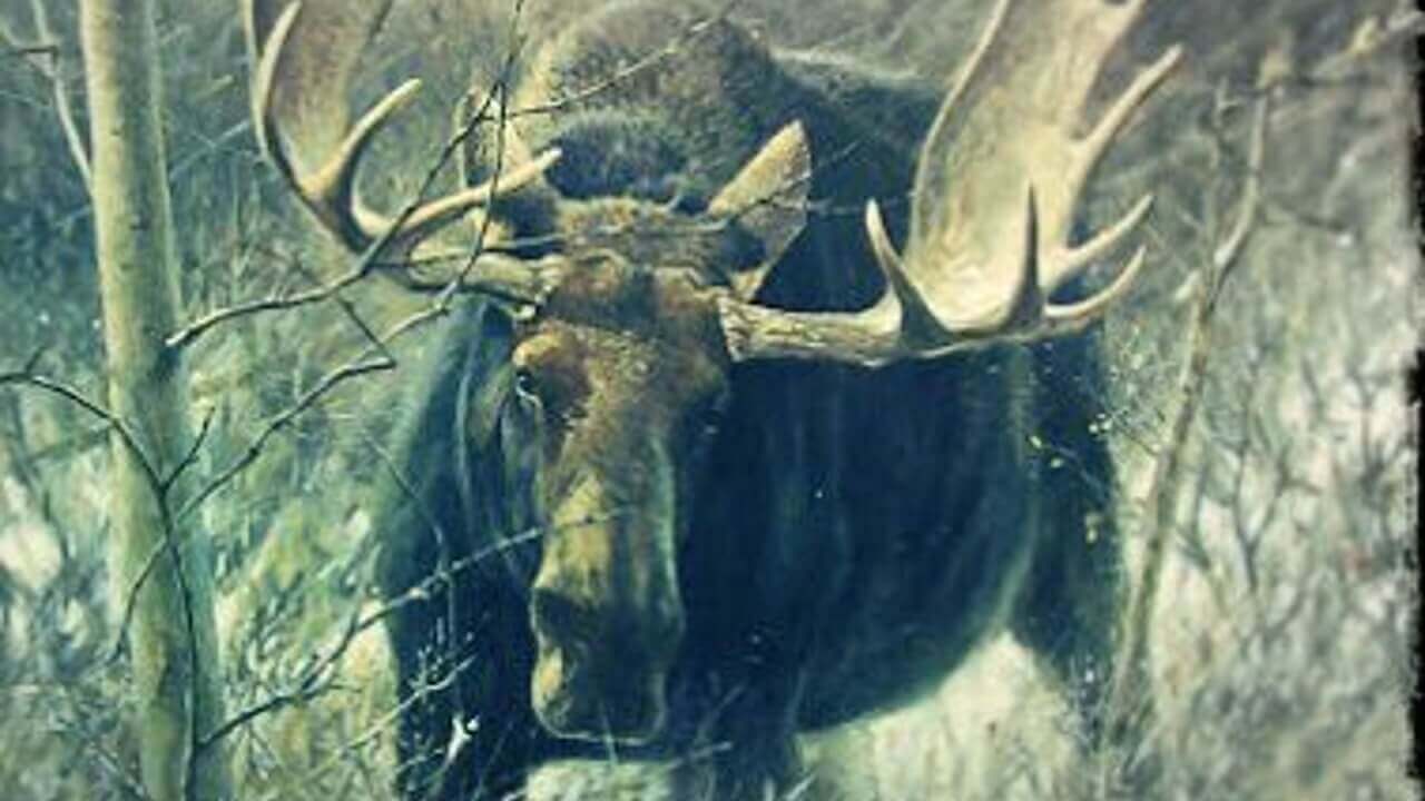 より安価なChromebookが登場する可能性