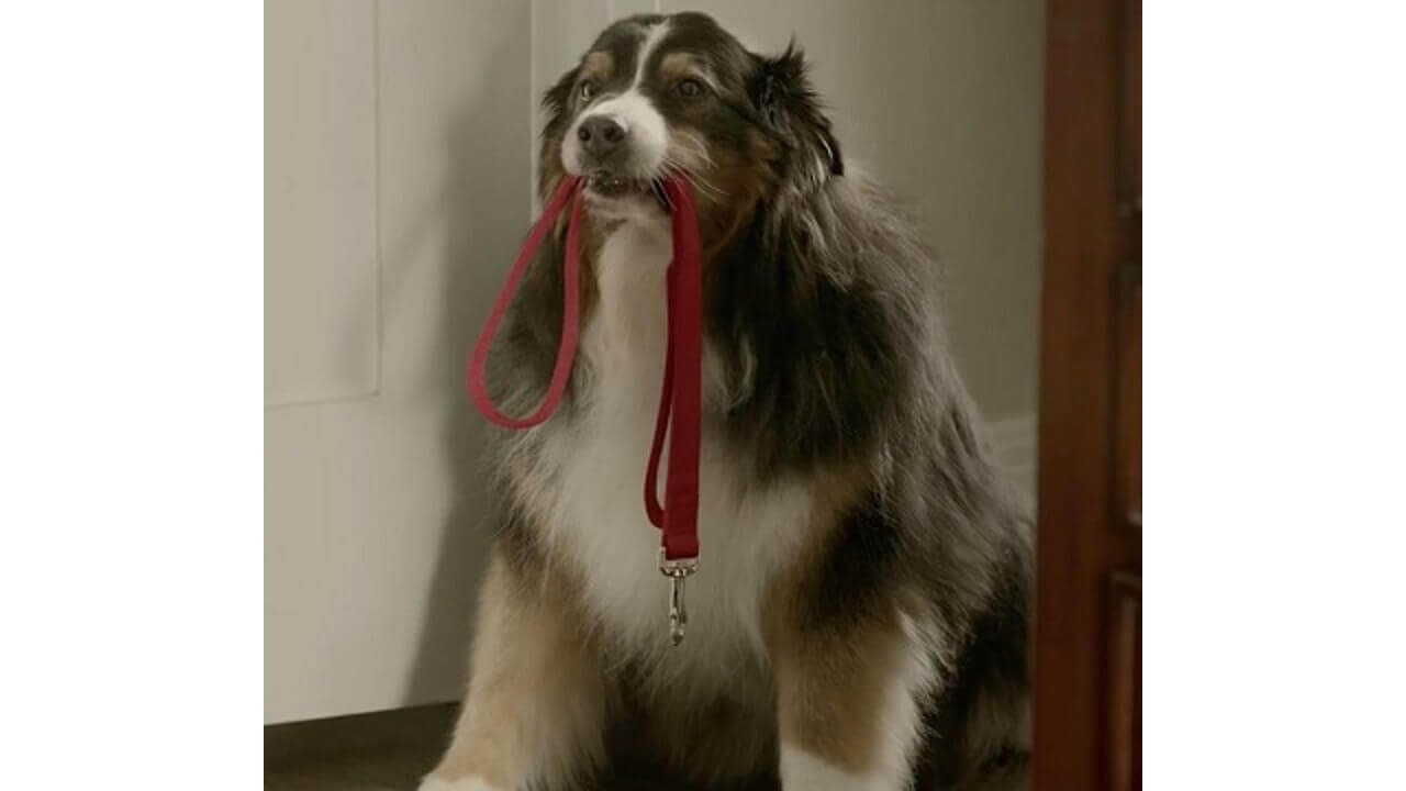 プロジェクター搭載タブレット「Lenovo YOGA Tablet 2 Pro」プロモーション動画