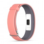 SmartBand 2-2