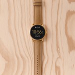 Fossil Q Wander
