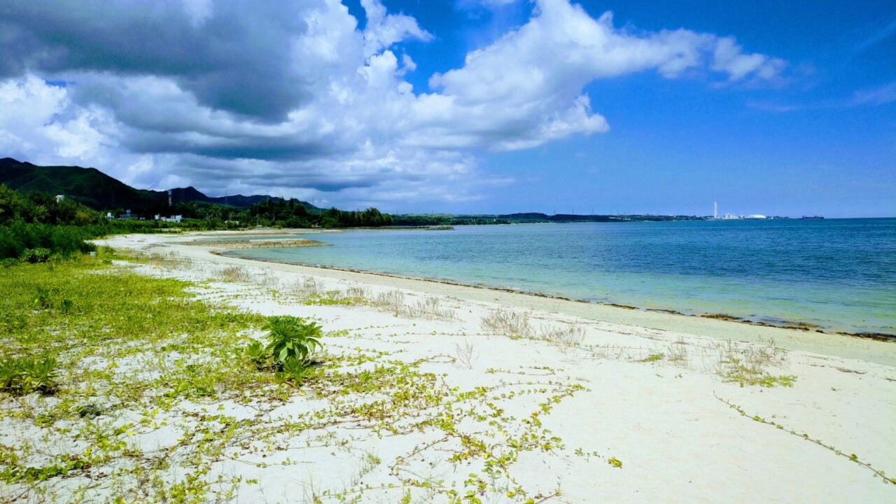 地域のゴミ拾いをしていて疑問に思ったこと【コラム】