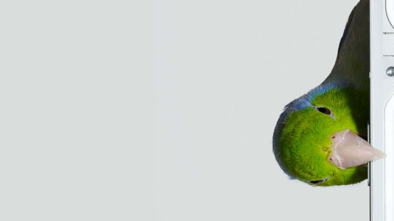 またチラ見せ！「Nothing Phone (1)」