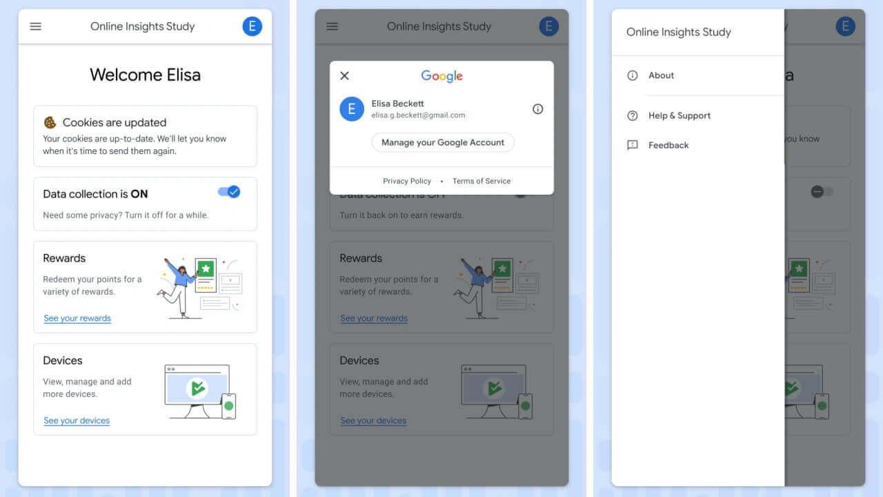 Online Insights Study