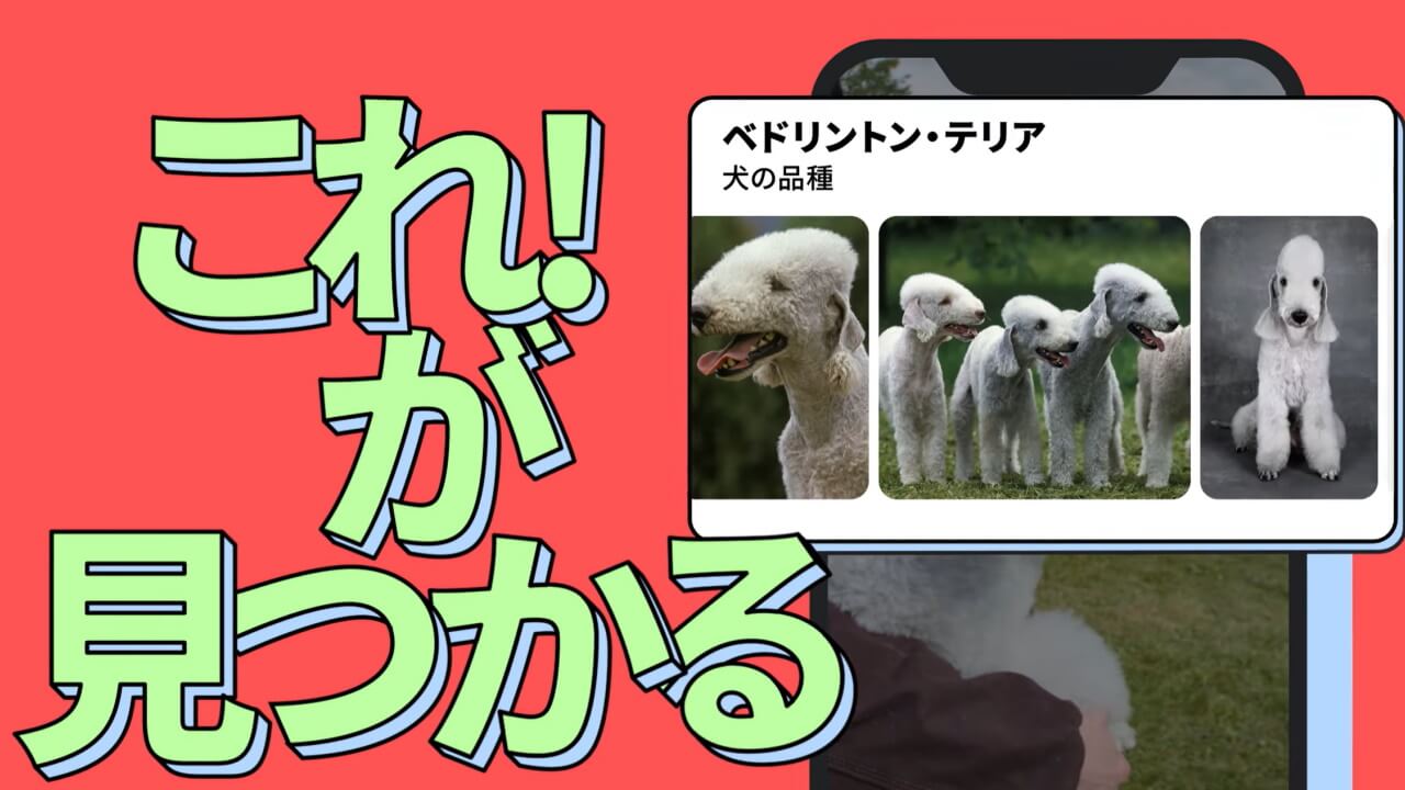 「Google レンズ」国内プロモーション動画公開【これ！が見つかる】