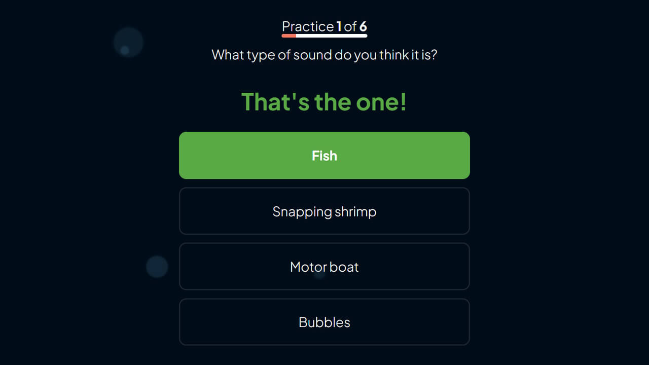 Calling in Our Corals