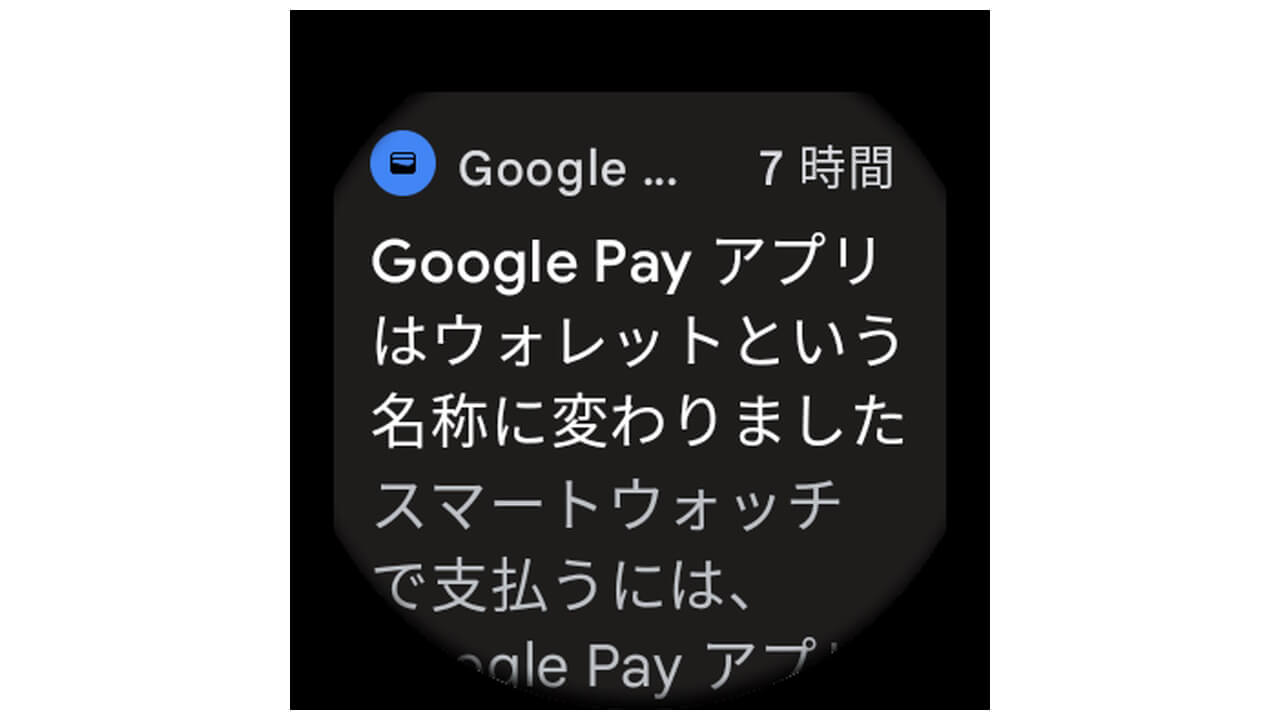 Wear OS Google Wallet