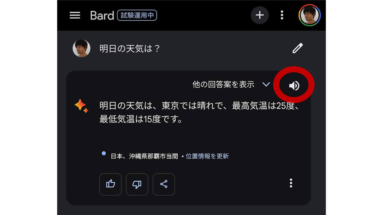 Google Bard